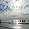 Swimming at 80 mile beach