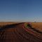 Wallal Downs