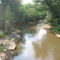 Enoree River at Harris Bridge