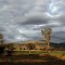 A new country day: Liverpool Plains, NSW