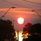 Afternoon red sun through bushfire smoke.