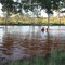 Elder creek near warburton