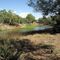 Darling River near Wilcannia
