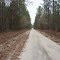 Back road