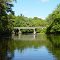 Black Mingo Bridge - County Line Road