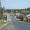 Walcha