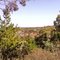 Walcha , lookout hill ...