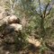 Windjana gorge walk