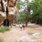 Windjana Gorge National Park, North Western Australia.