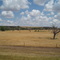 Cheyenne River valley