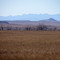 Black Hills in Blue