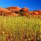 Rocky Outcrops - Wooleen Station