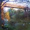 Wellington Rail Bridge.