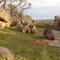 View Near Telstra Tower
