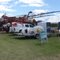 Wagin Woolarama 060310