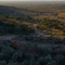 Outback View