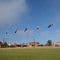 Wilson Park Whyalla