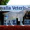 Tommy the Dog - Whyalla, South Australia
