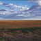 Outback
