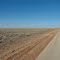 Mitchell grass as far as the eye can see