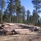 Deck of House Logs
