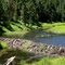 Beaver pond on Rhoads Fork of Rapid Creek