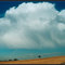 Isolated winter shower - Picton, NSW