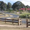 Hogans Drive, Bargo