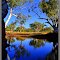 PILBARA BILLABONG
