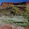 Near Wittenoom