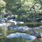 Goodradigbee River Picnic Area