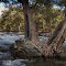 Goodrabigbee River at the Flea Creek Camping Area, near Brindabella, NSW Australia