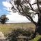 Wimmera Stawell Warracknabeal Road