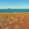 Cape Lambert Wharf from Sams Creek