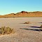 Coastal flood plain
