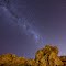 Honeymoon Cove Night-Sky (Southern Cross)