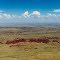 Pilbara Red