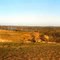 near Waikerie