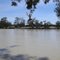 Murray River