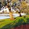 the  Waikerie ferry