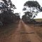 nice track in Pooginook