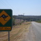 Welcome to Australia