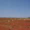 Willowra Airstrip