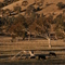 Rob Roy range