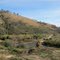Upper Murrumbidgee  - Angle Crossing