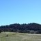 From Colinton rest area