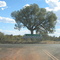 Roadsign