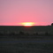 Oklahoma sunset near Enos, OK