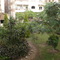 our garden view