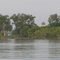 Tanglewood Tower from Treasure island